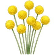 025