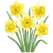 032
