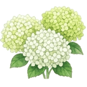 035