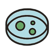 008