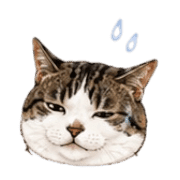 009