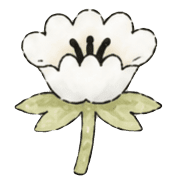 031