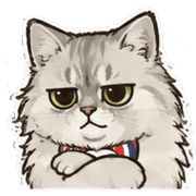 007