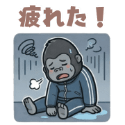 016