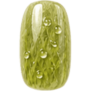 019