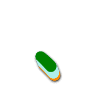 256