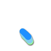 256