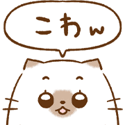 019