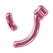 145