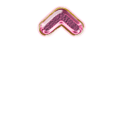 231