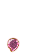 245