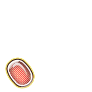 256