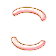 010