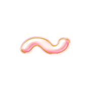 224