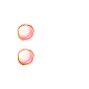 244