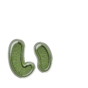 048