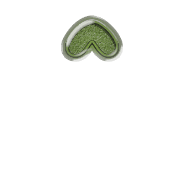 231
