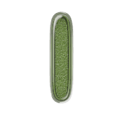 242