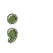 243