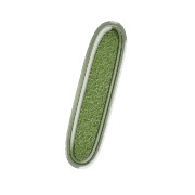 247