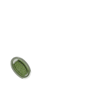 256
