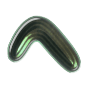 029