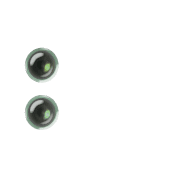 244