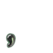 245