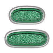 102