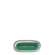 250