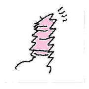 004