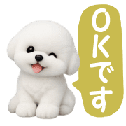 006
