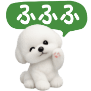 017
