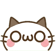 019