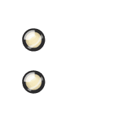 244