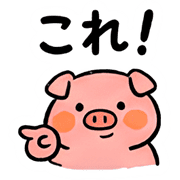 031