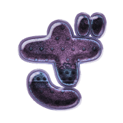 061