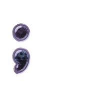 243