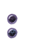 244