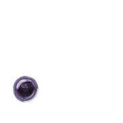 246