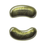 010