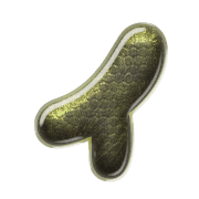 082