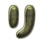 120