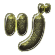 148