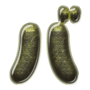 151