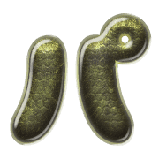 156