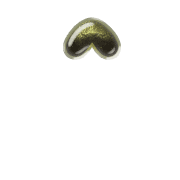 231