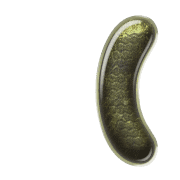 234