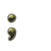 243