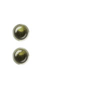 244